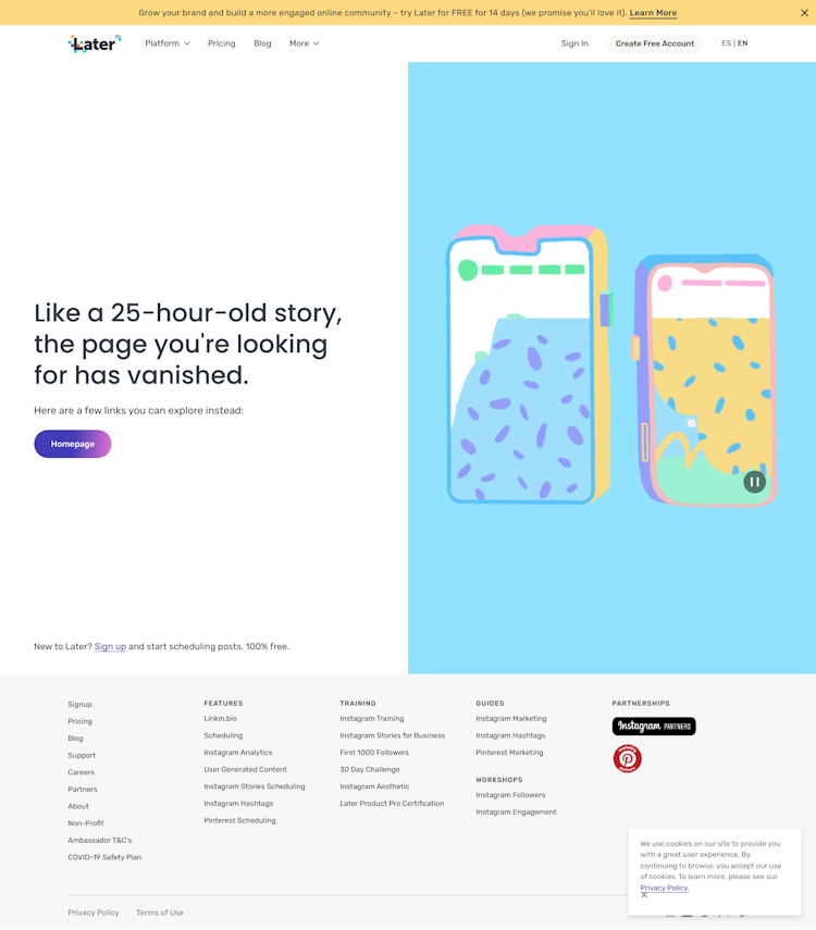Later Login Page Design