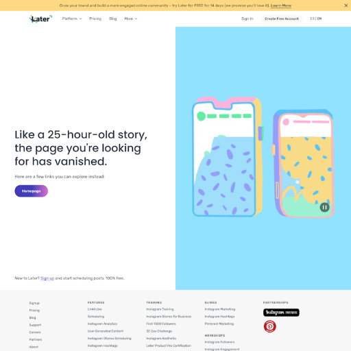 Later Login Page Design